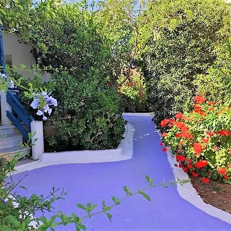 A Cretan House In The Garden. 아파트 *