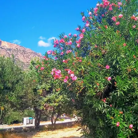 A Cretan House In The Garden. Apartment Koutsounari